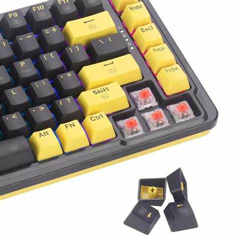 Thumbnail of hoQBJuSj5qa1Z2KQya0FphfYH5zu0xtm8z3VUPdH.jpg